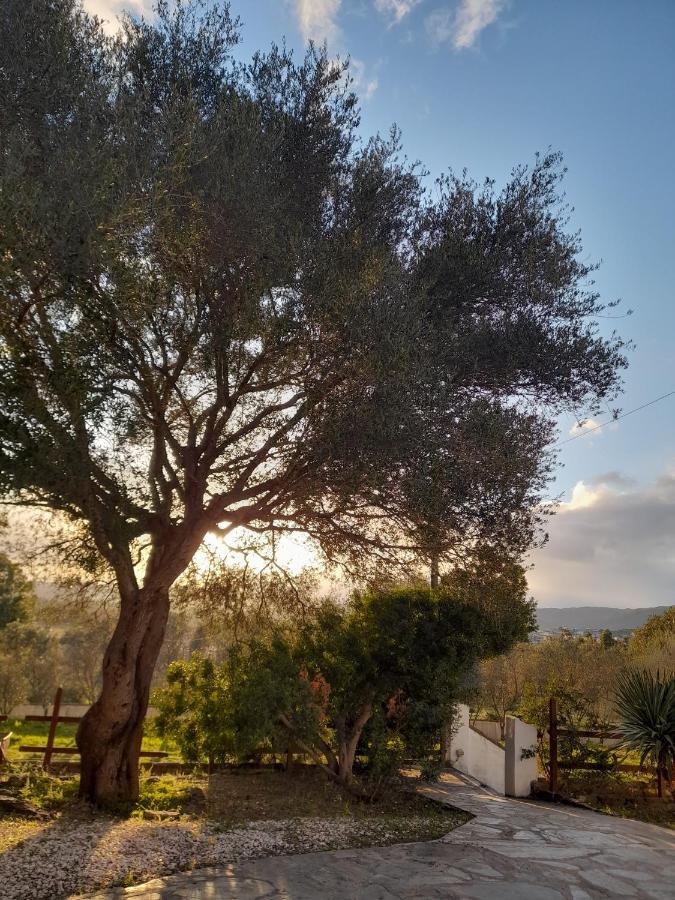Agriturismo Palas De Serra Country Resort Onifai Esterno foto