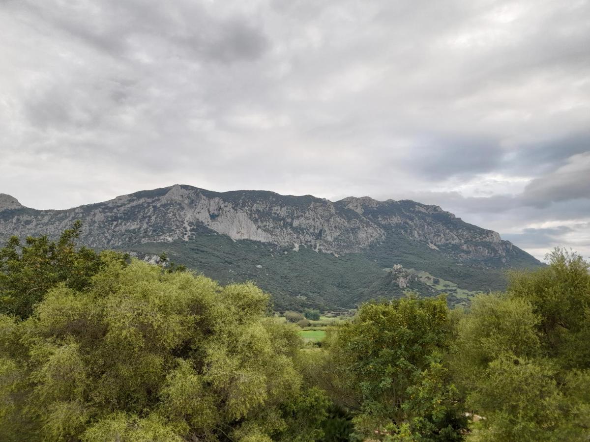 Agriturismo Palas De Serra Country Resort Onifai Esterno foto