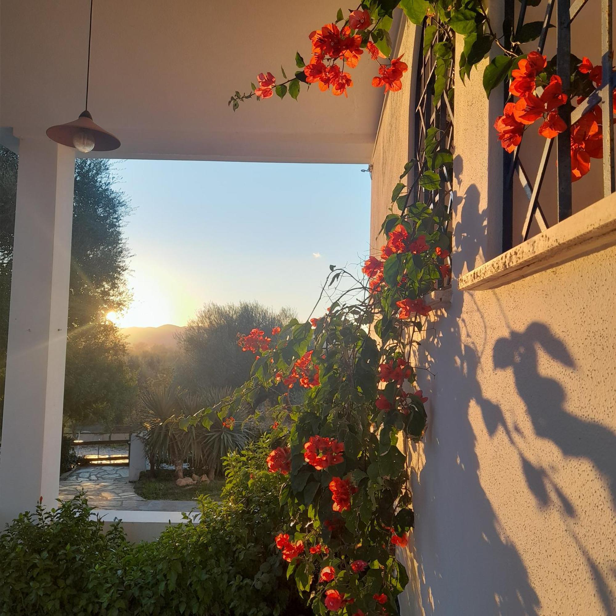 Agriturismo Palas De Serra Country Resort Onifai Esterno foto